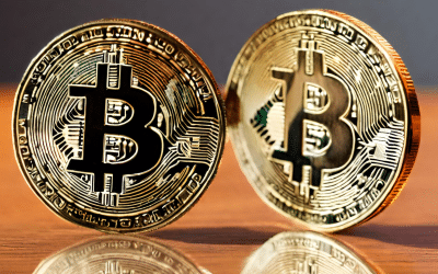 What Does Bitcoin Halving Mean – And Why It’s the Talk of the Crypto World?